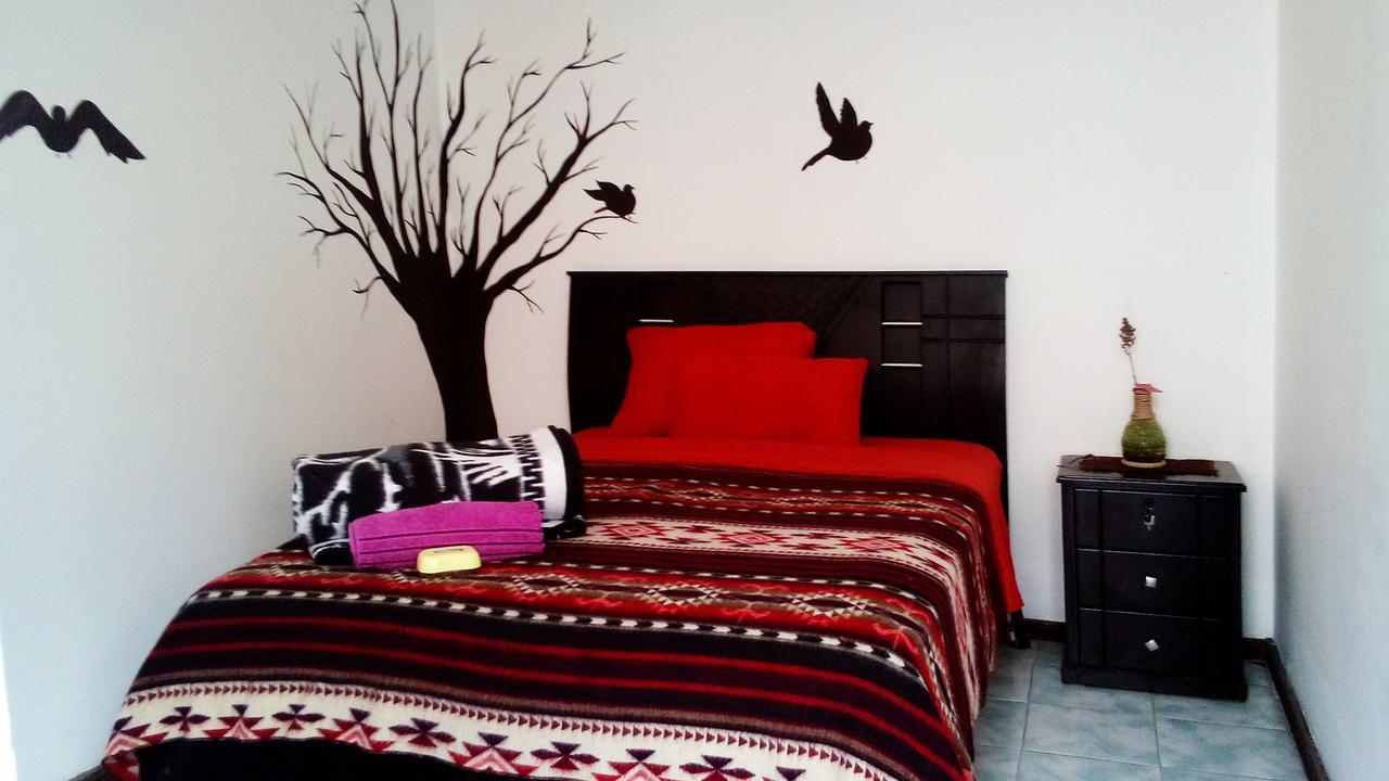 The Backpacker Hostal Ibarra Kültér fotó