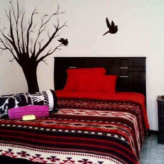 The Backpacker Hostal Ibarra Kültér fotó